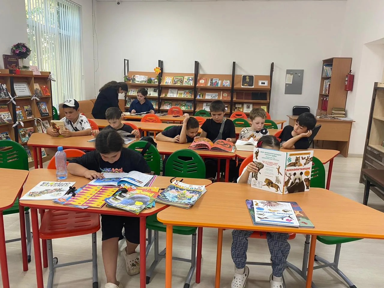 ✨Экскурсия в мир книг