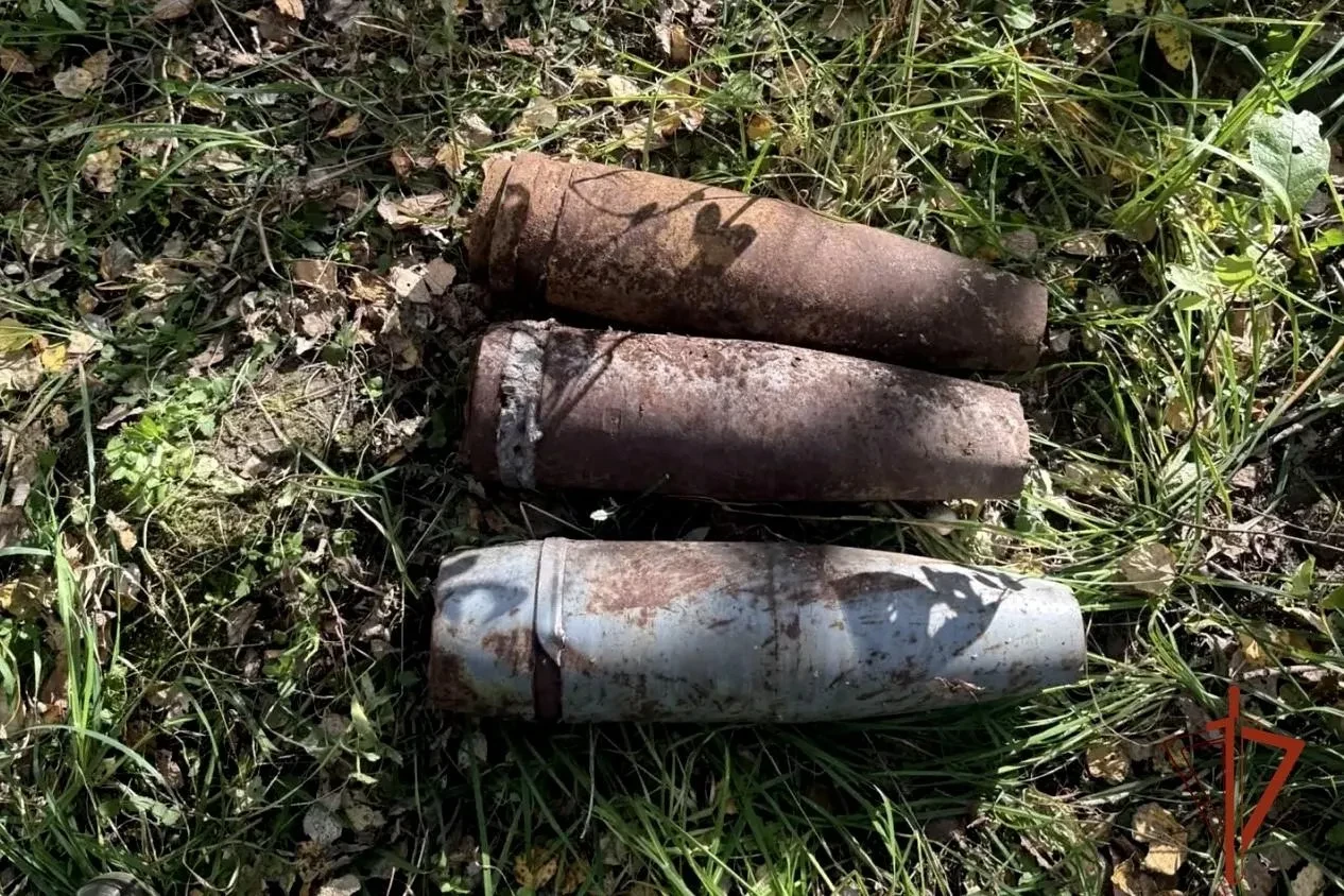 Грибник нашел боевой снаряд, оставшийся после взрывов на военном складе под Ачинском
