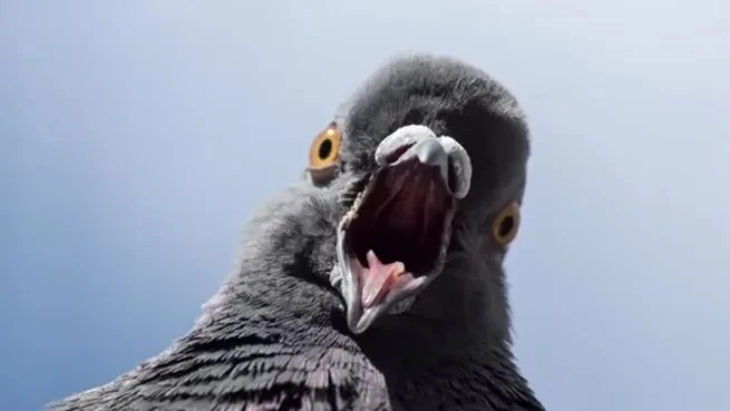 🐦 Литва подняла в воздух истребитель, приняв стаю птиц за дроны