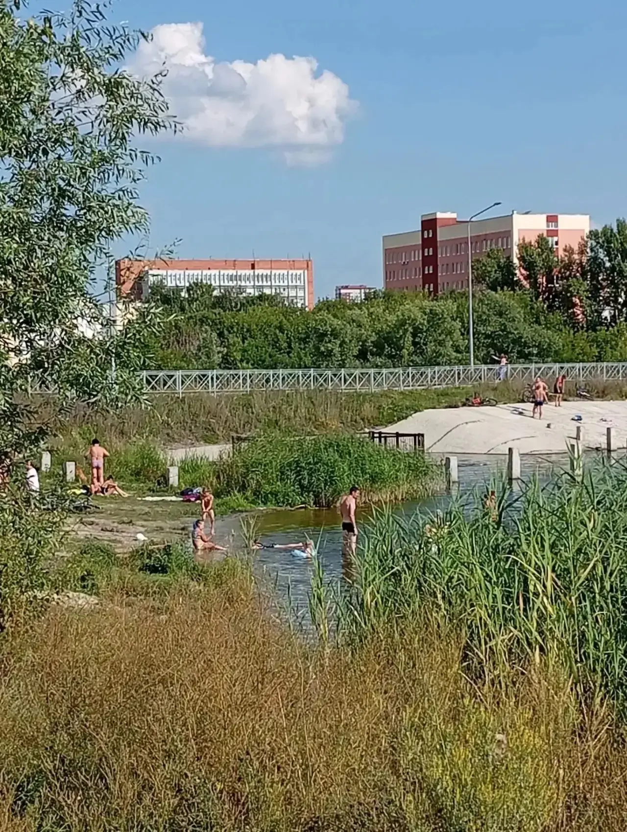 Наш школьный патруль снова в деле.