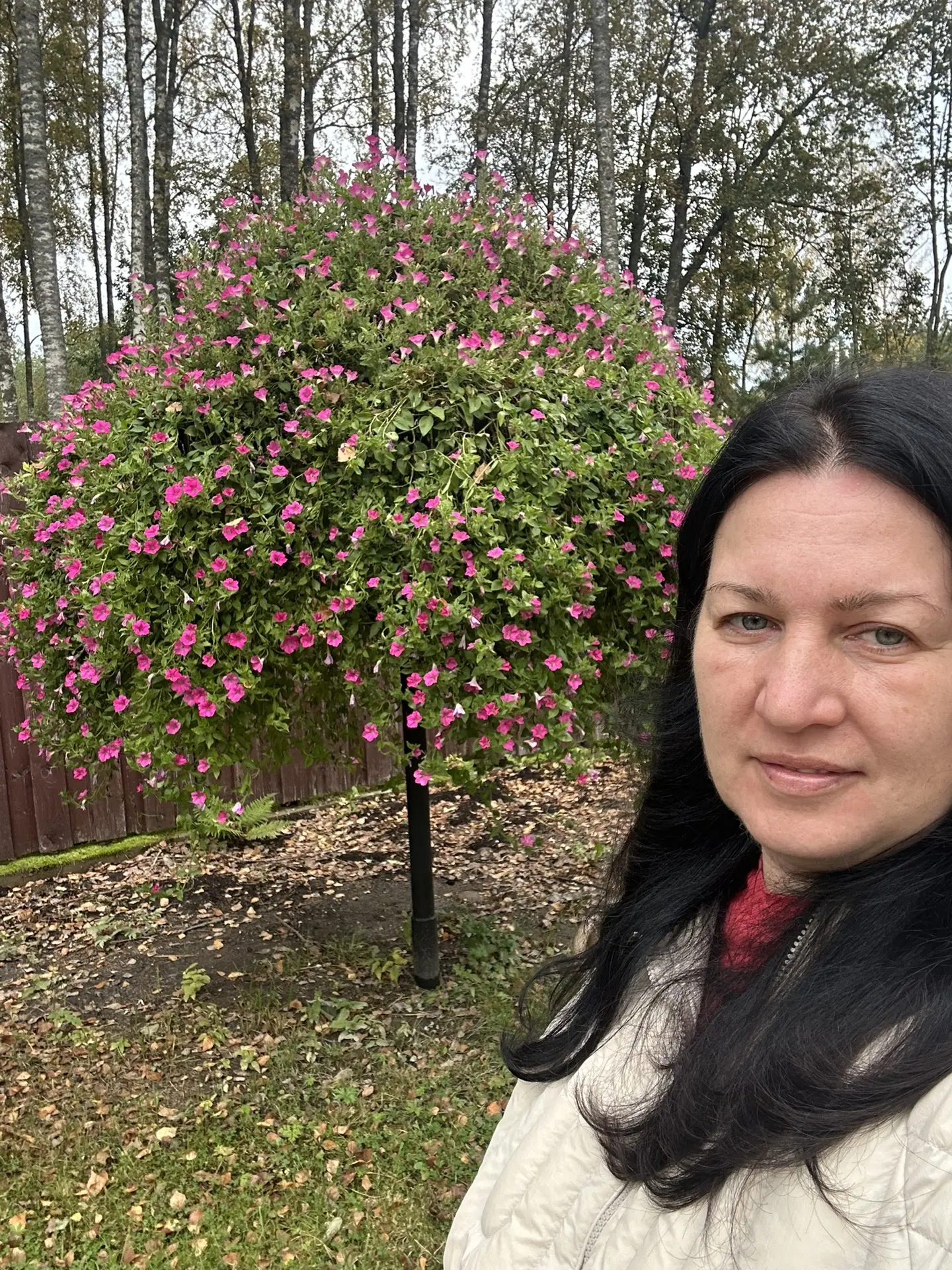 Дорогие друзья - не реклама! Просто делюсь своими наблюдениями и результатами.