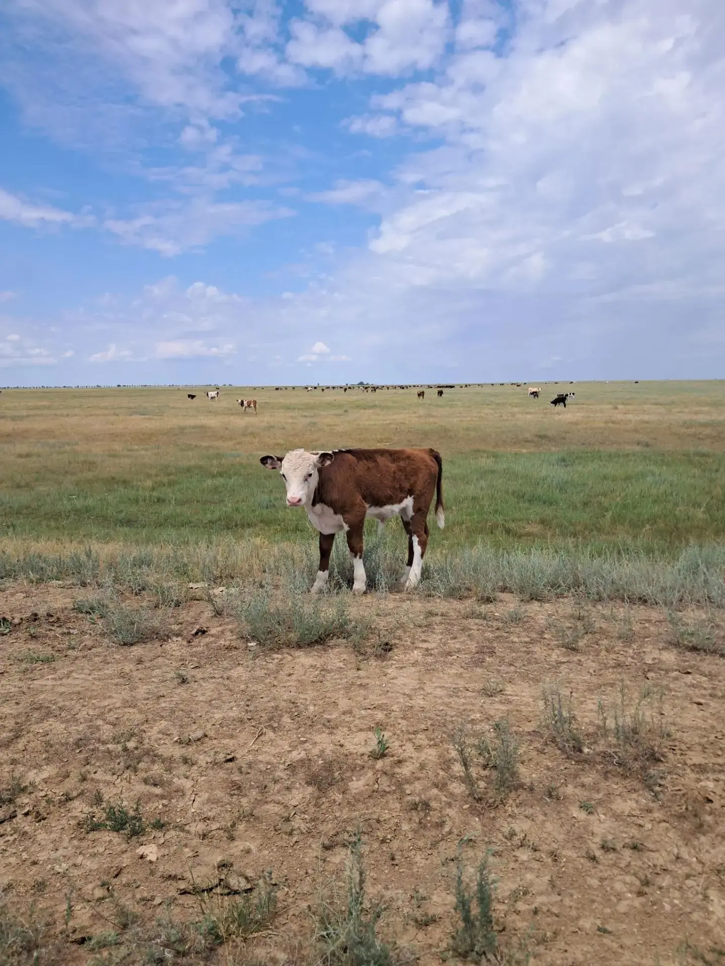 🌾 Сила земли и тепло рук: наша благодарность аграриям!