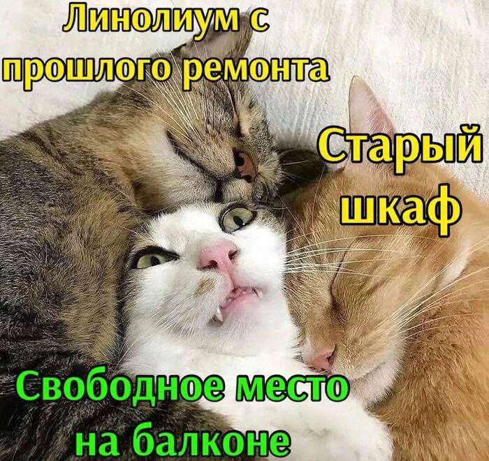 Эфир «Бардак, который мешает жить»