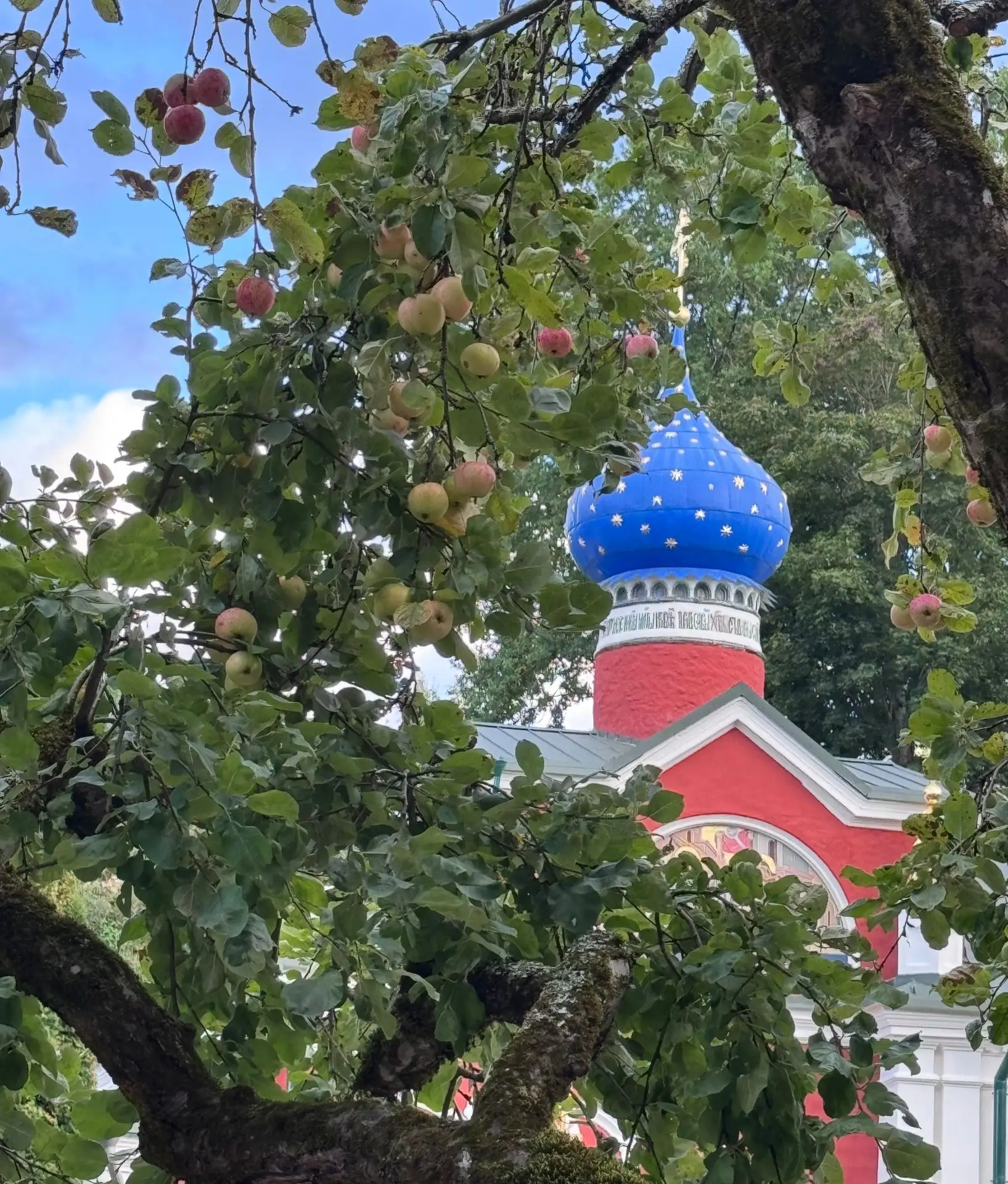 С добрым утром! Вкусное фото для поддержания духа! 🍏🍎 Хорошего дня!