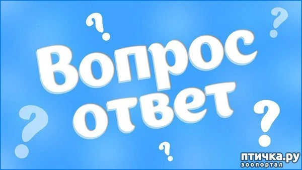 ❓Как заказчику начать работать с закупками малого объема в ГИС ЕИС ЗАКУПКИ?