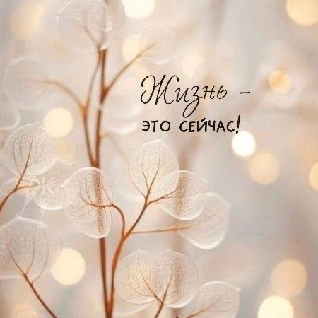 ☕️ Настройка дня