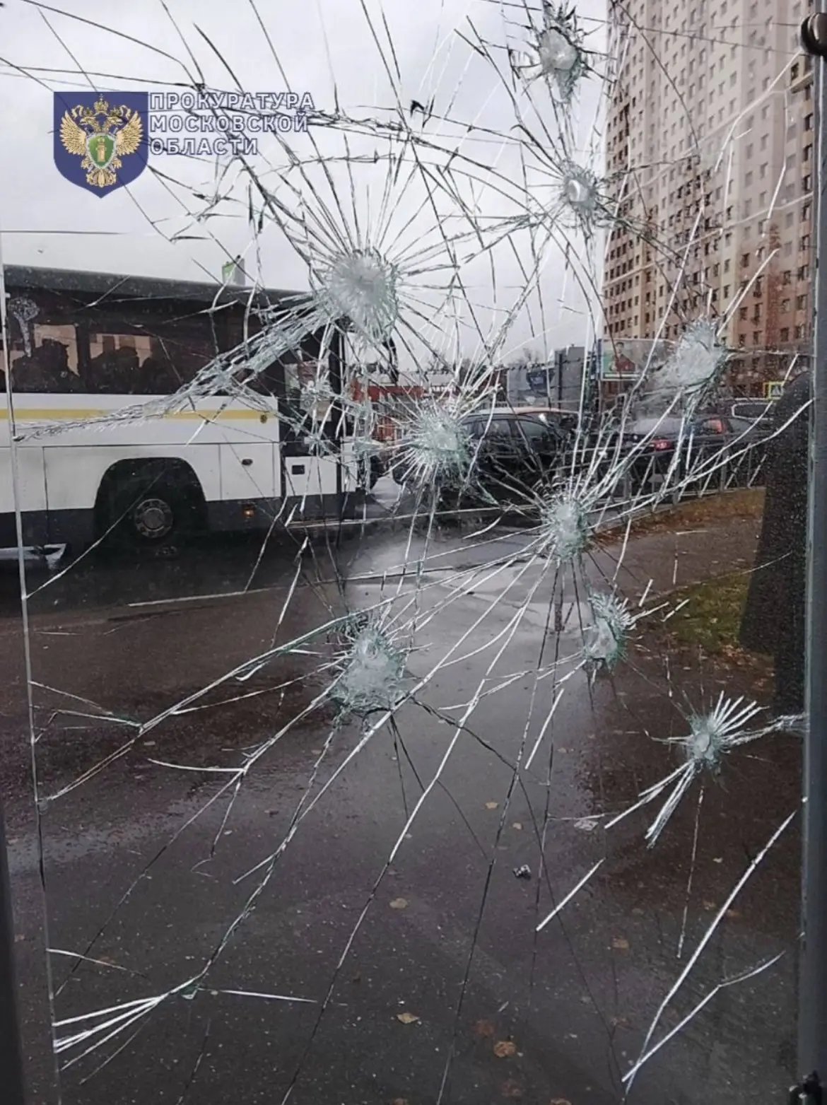 В Жуковском прокуратура направила уголовное дело в суд в отношении местного жителя, совершившего ван