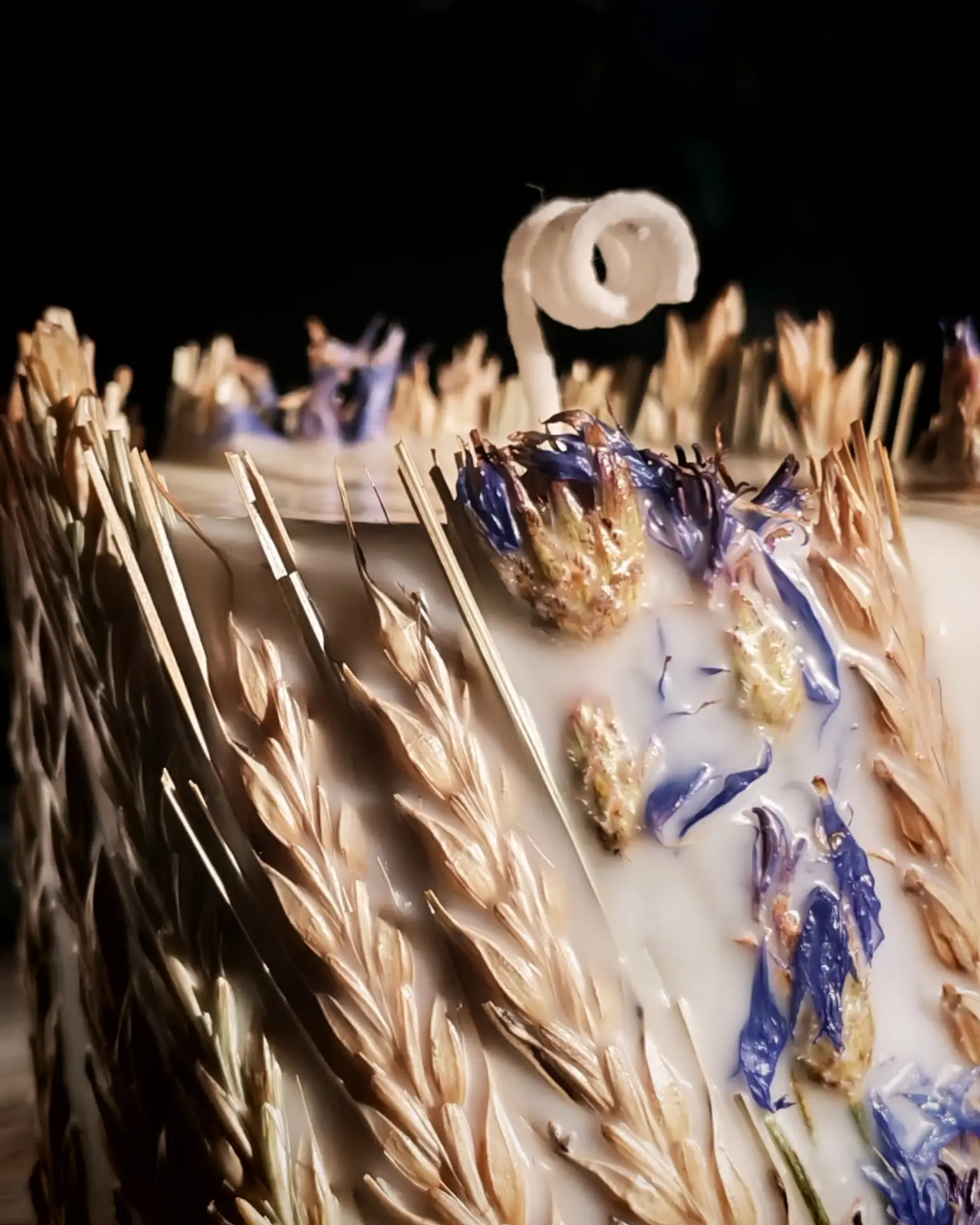 Царица полей русских🌾