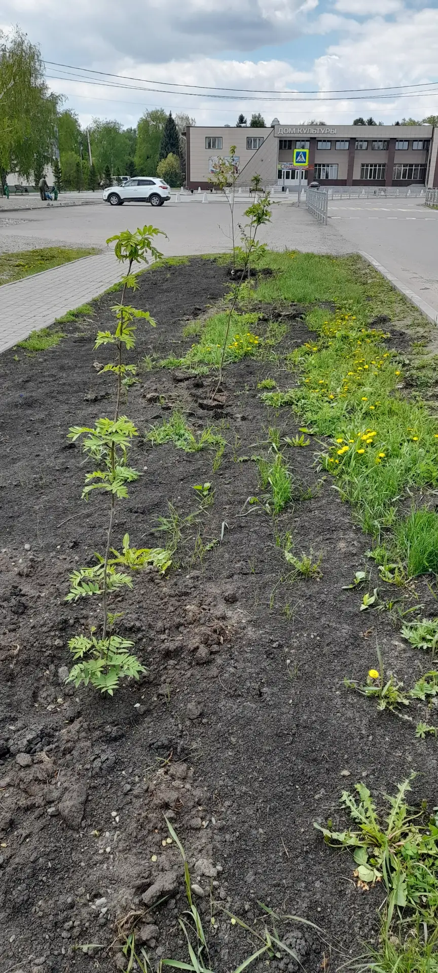Петропавловский район продолжает благоустраиваться