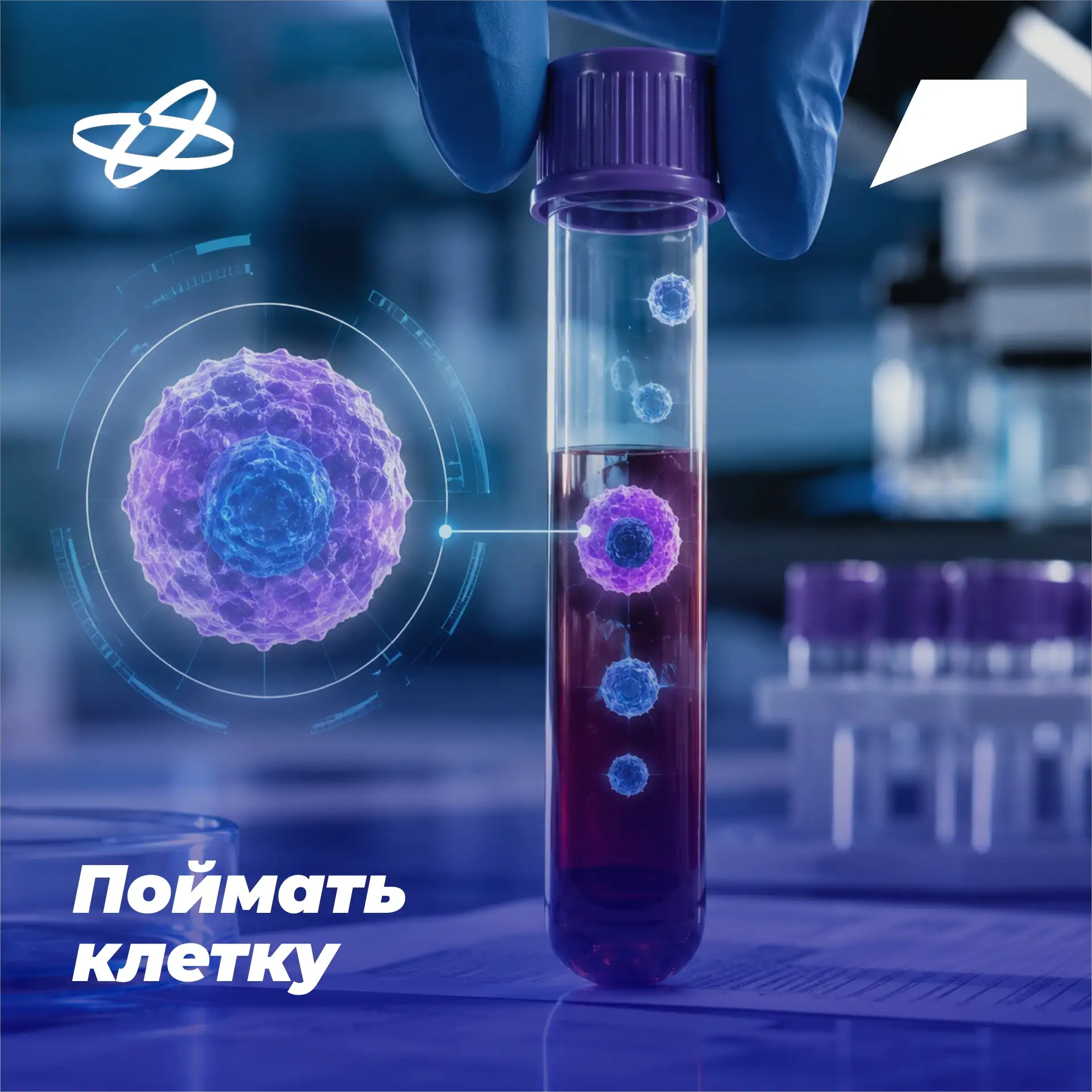 Реагент, созданный учеными Новосибирского государственного университета и Института цит...