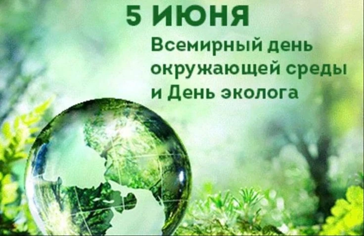 🌤В преддверии Всемирного Дня окружающей среды, который отмечается 5 июня, на летней ку...