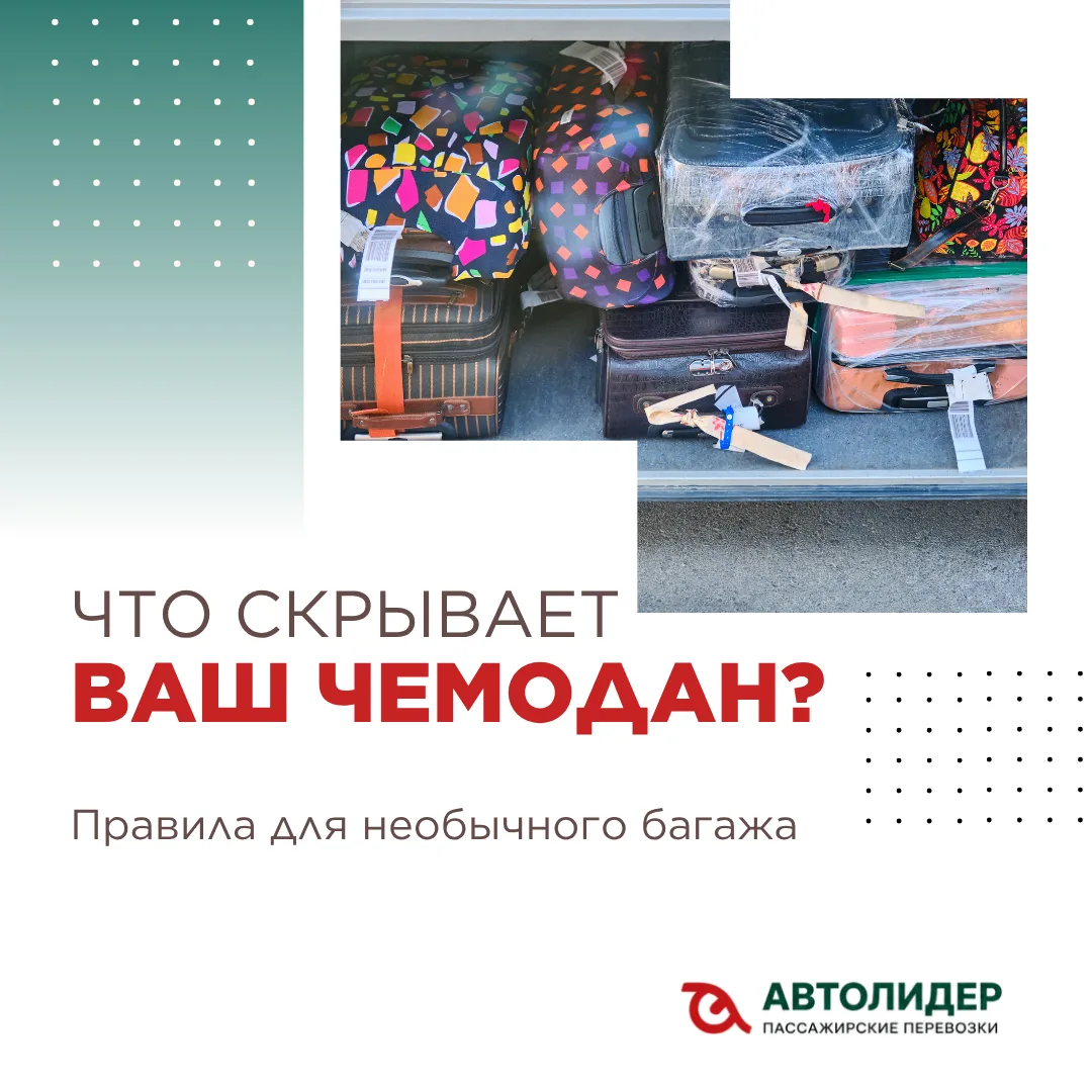 🧳 Как правильно перевозить багаж в автобусе? Есть несколько нюансов