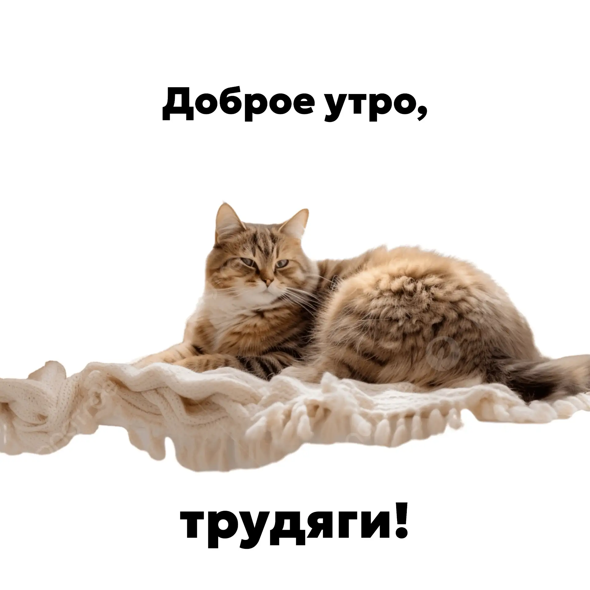❤️ — если проснулся после обеда