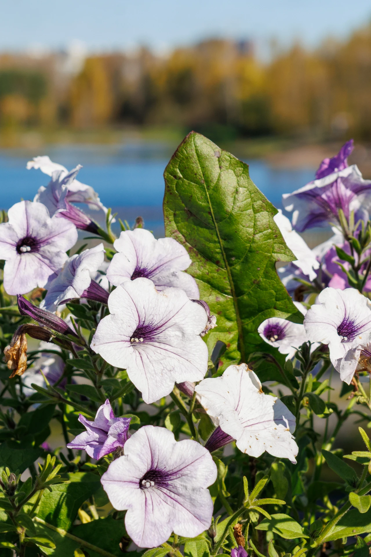 ☁ Доброе утро! Погода на 7 октября