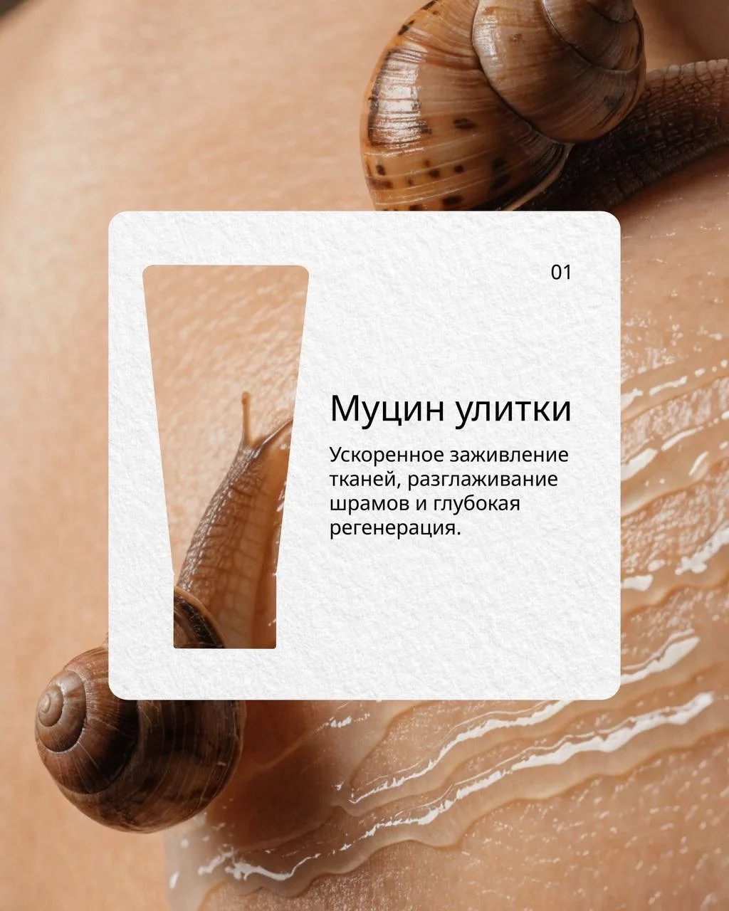 #золушкаэксперт