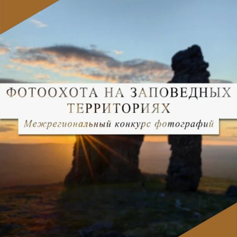 ✅Приглашаем к участию в конкурсе! 

Приглашаем всех желающих принять участие в Межрегиональном конку