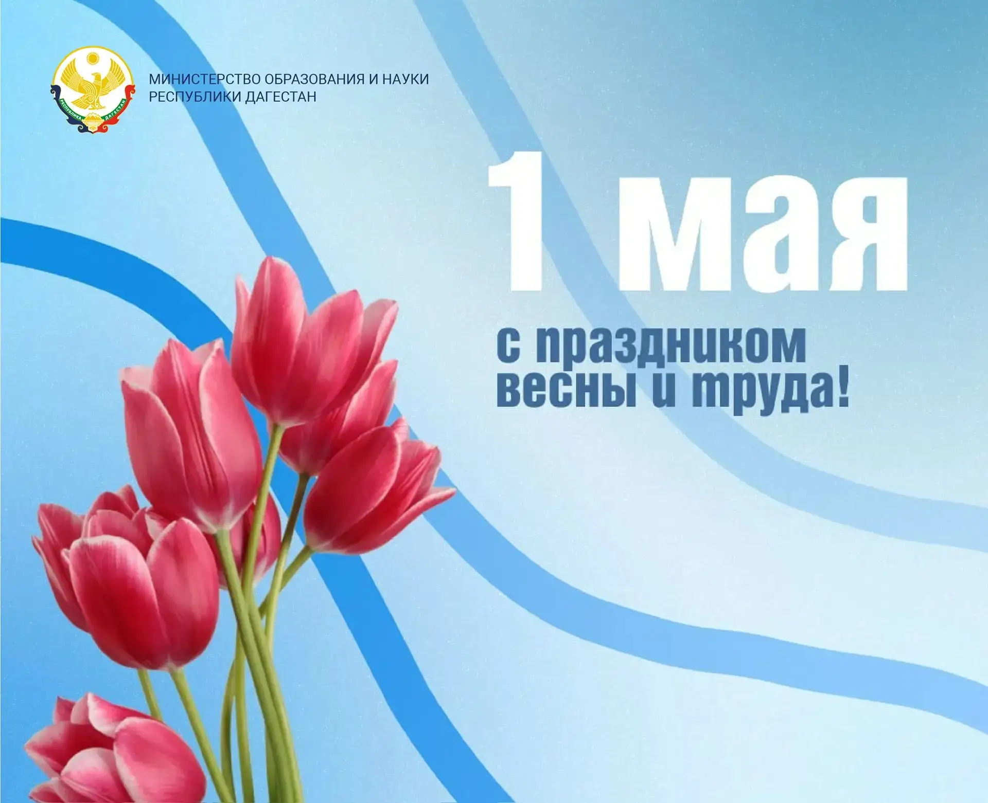 Созидаем будущее вместе 🕊