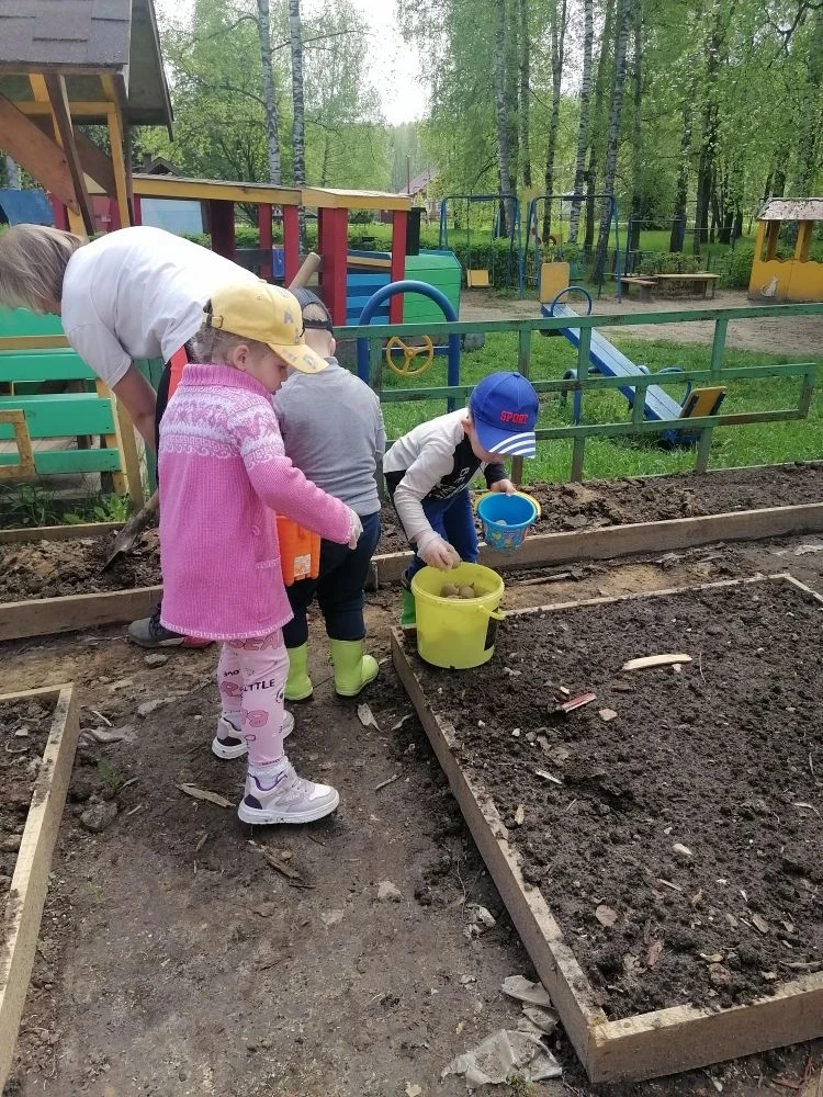 🌱 А вы с таким же желанием сажаете картошку, как наши ребята из младшей группы? 🥔

На нашем огород