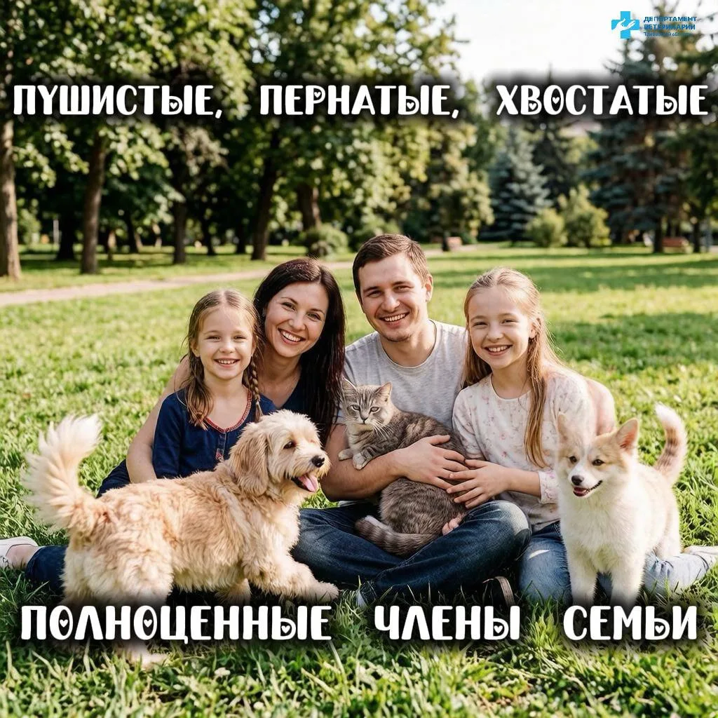 🐾Пушистые, пернатые и хвостатые — это полноправные члены семьи