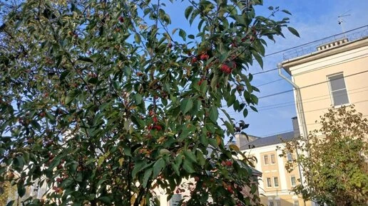 В Калужской области ожидается сухая погода