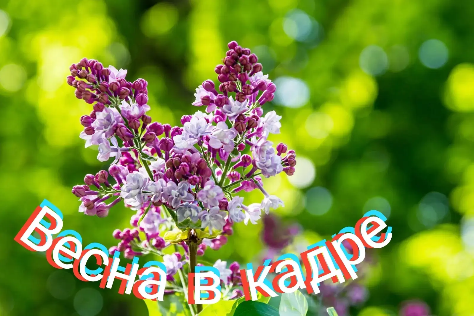 📸Это всё для наших победителей конкурса "Весна в кадре". Всего было 22 работы. Мы выбр...