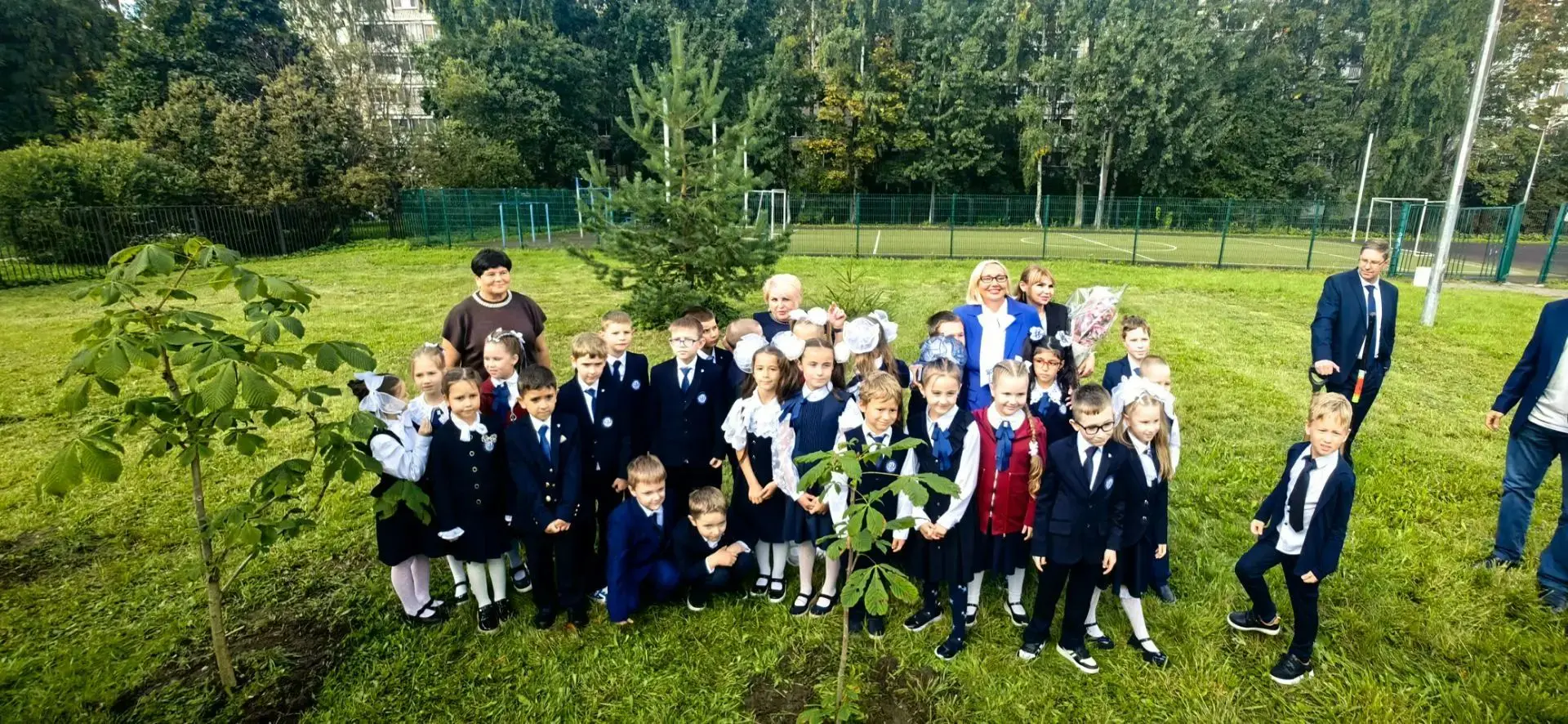 🌳♥️ Дорогие друзья!