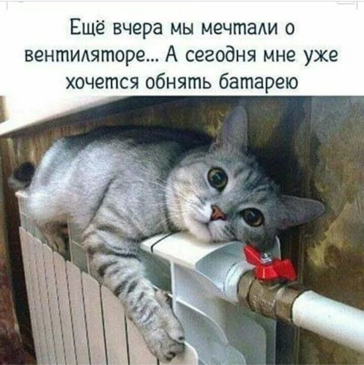 Сколько времени занимает запуск отопления в Подмосковье