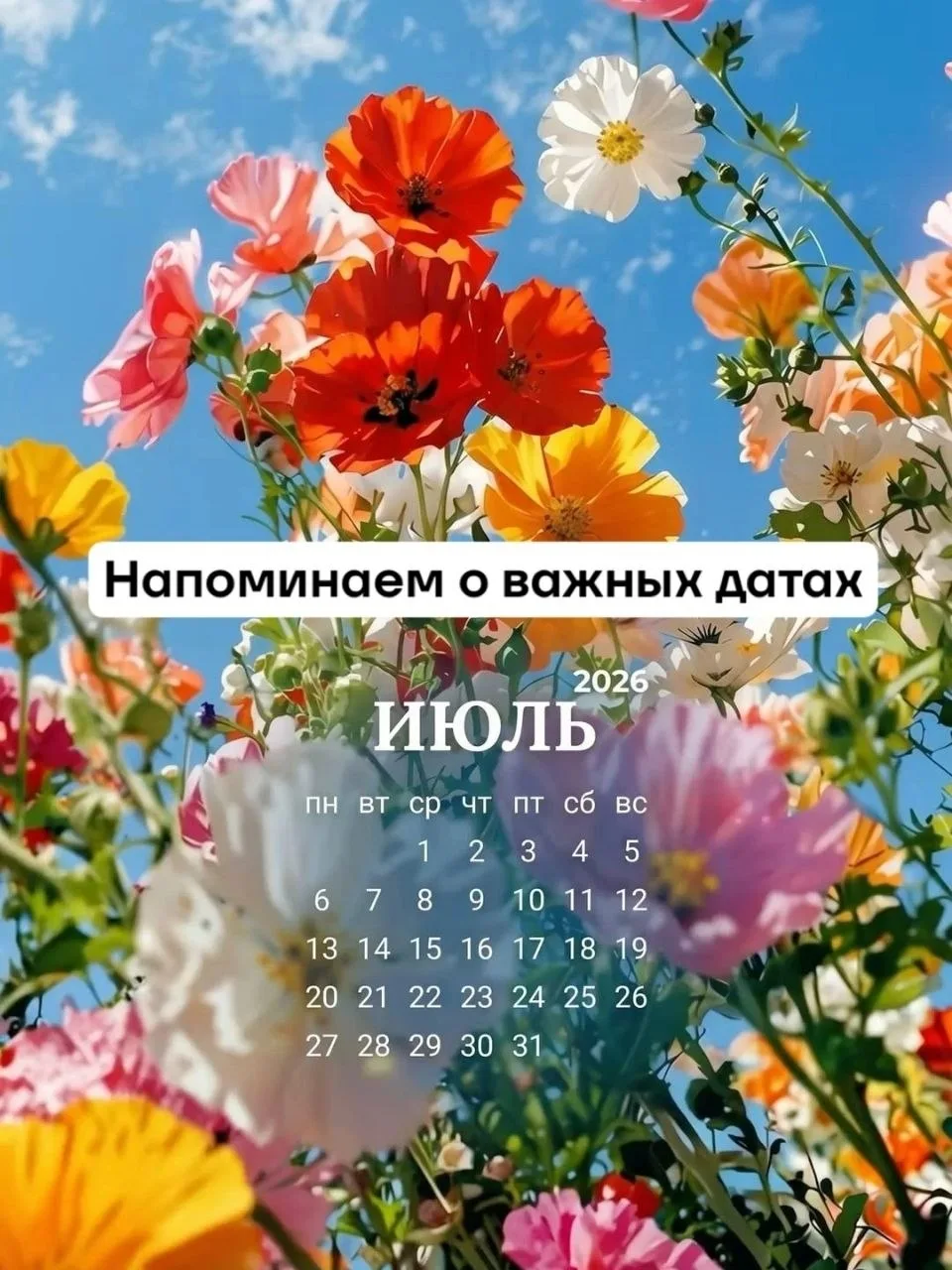 Напоминаем о важных налоговых датах июля для продавцов 📅