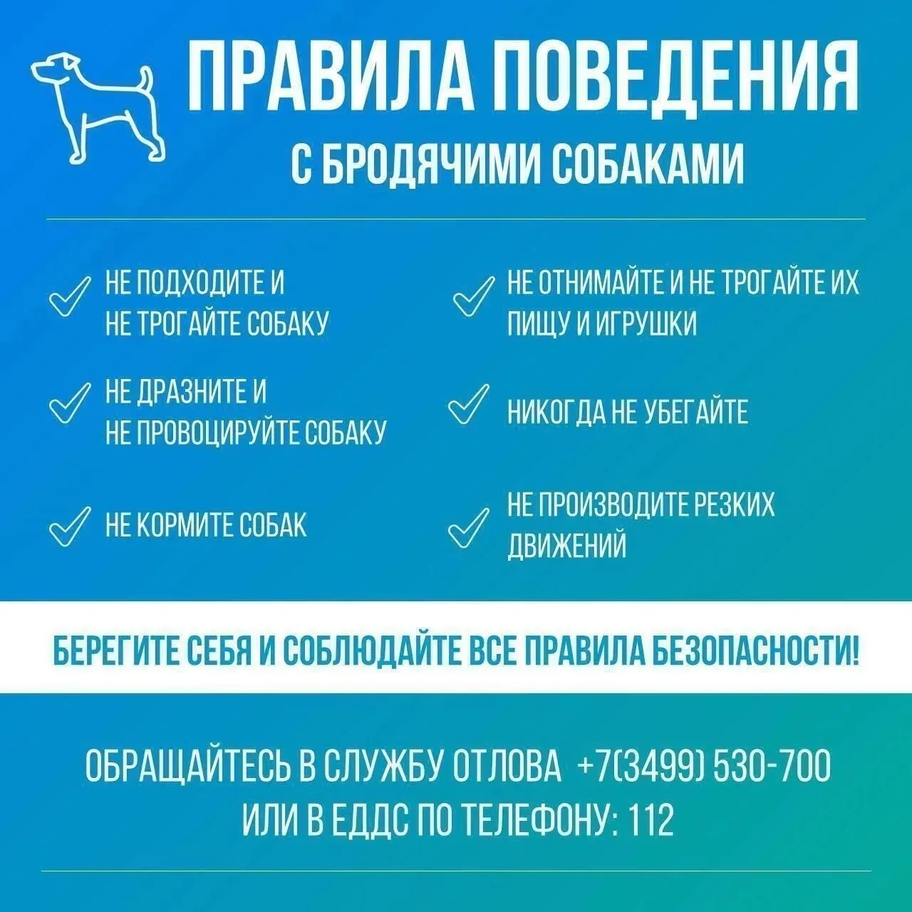 📍 Администрация села Ныда просит воздержаться от прикармливания безнадзорных животных,...