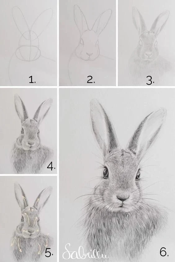 #рисование
Пошаговый рисунок. Кролик 🐇 

РИС