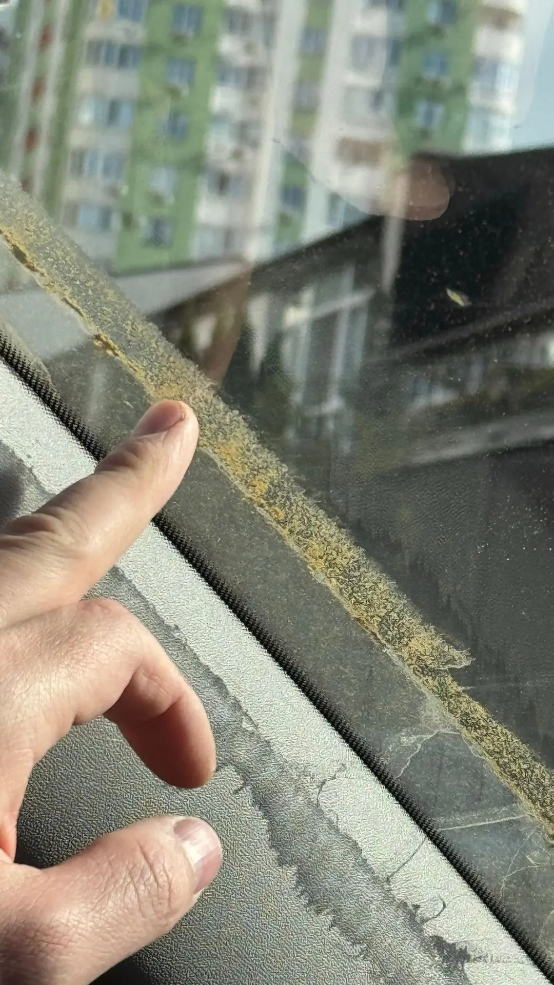 «Уже который раз на утро замечаю на машине рыжий налёт. Явление зафиксировано в Самаре....