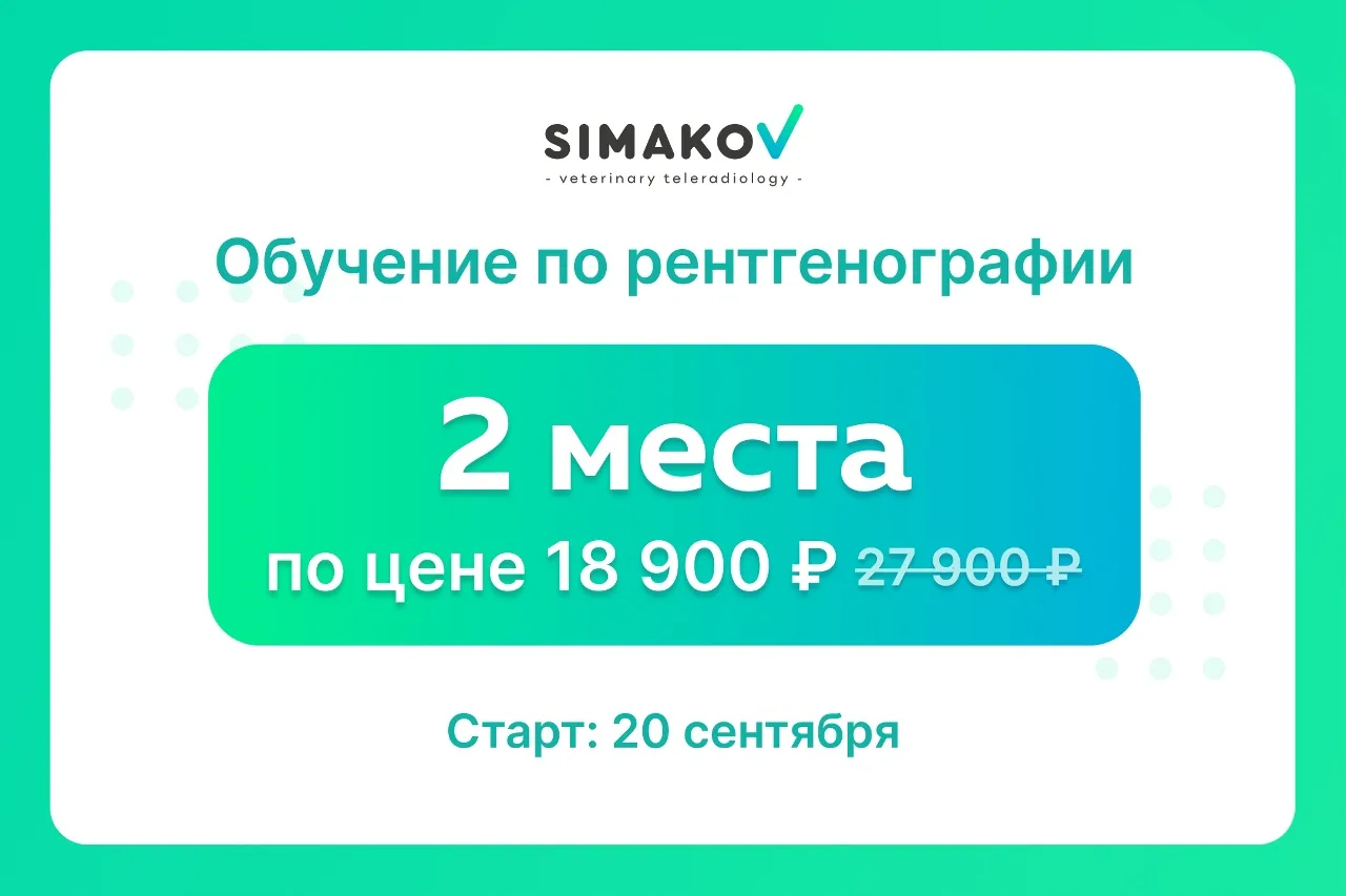 🙌 А у нас осталось последних 2 места!