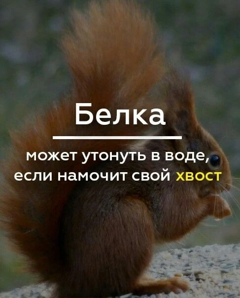 Признавайтесь, знали?