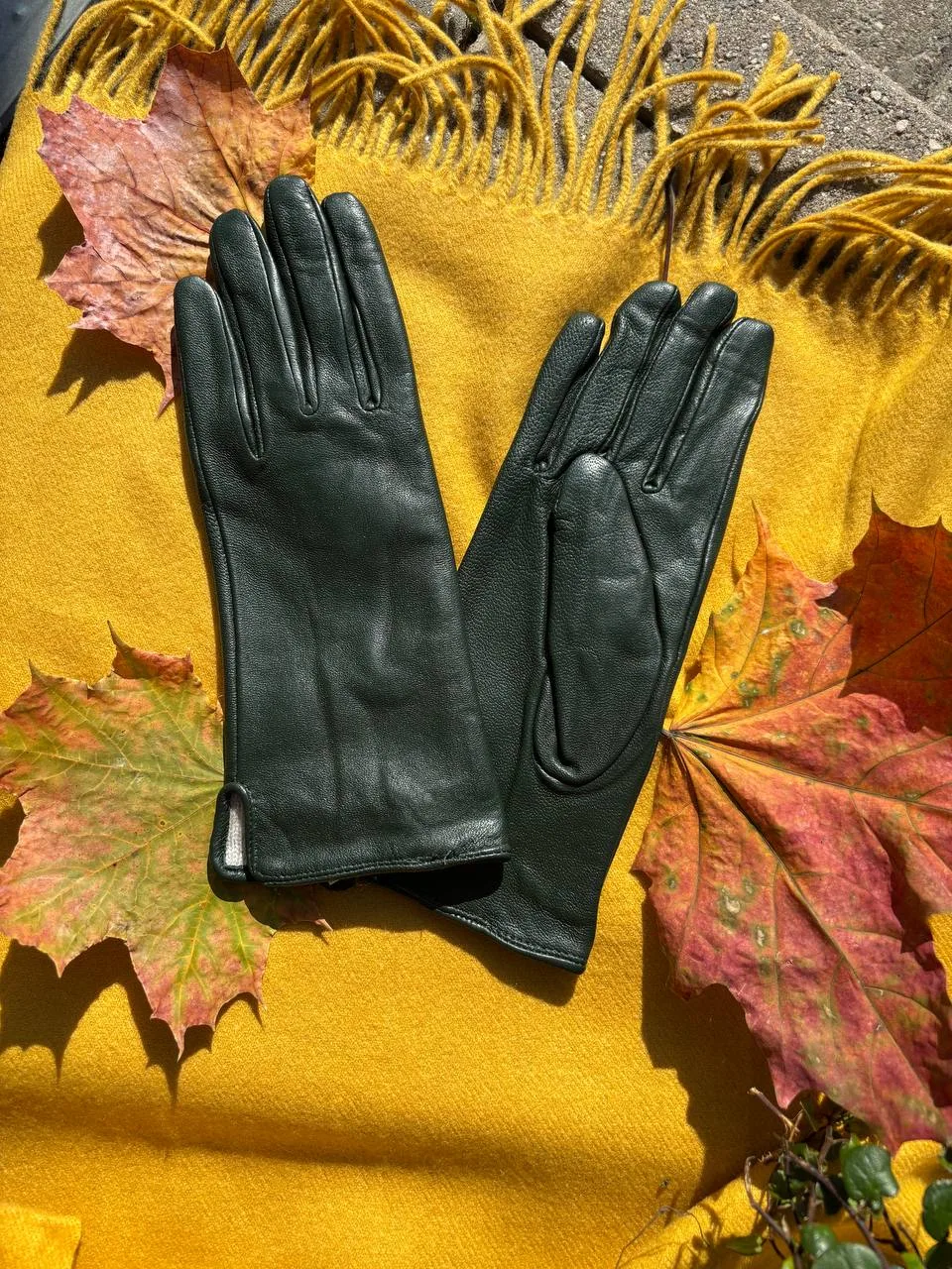 🍂🍂⭐️🍂🍁🍁🥧🍁🍁🌳
