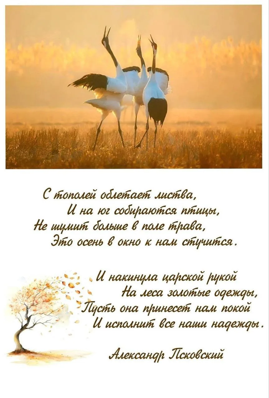 Женские открытки💝