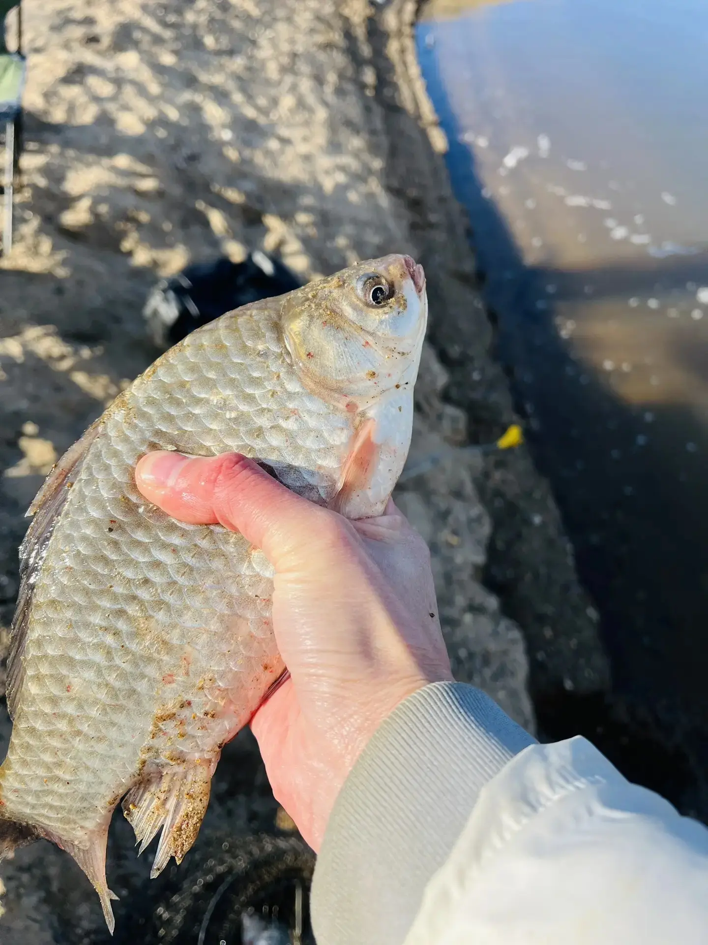А вы уже открыли летний сезон?)🎣