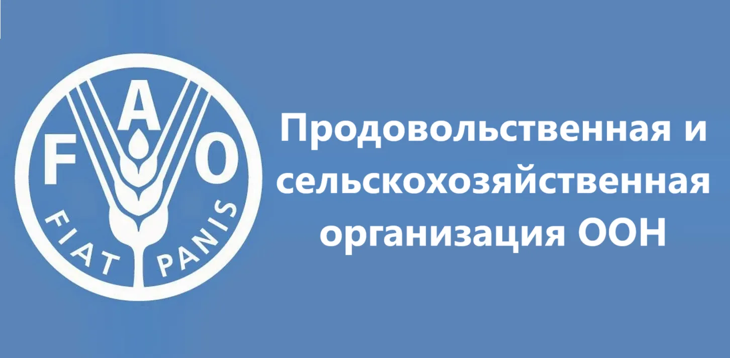 🌏 Приглашают участвовать во Всемирном конкурсе сельских территорий под эгидой ООН "Признание дереве