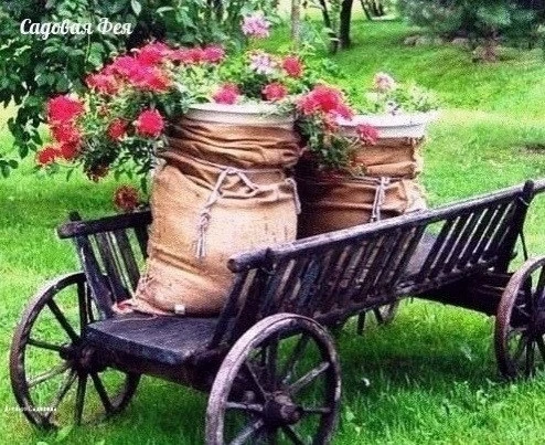 Кaк caмим oргaнизoвaть oчeнь нeoбычный цвeтник 🌺