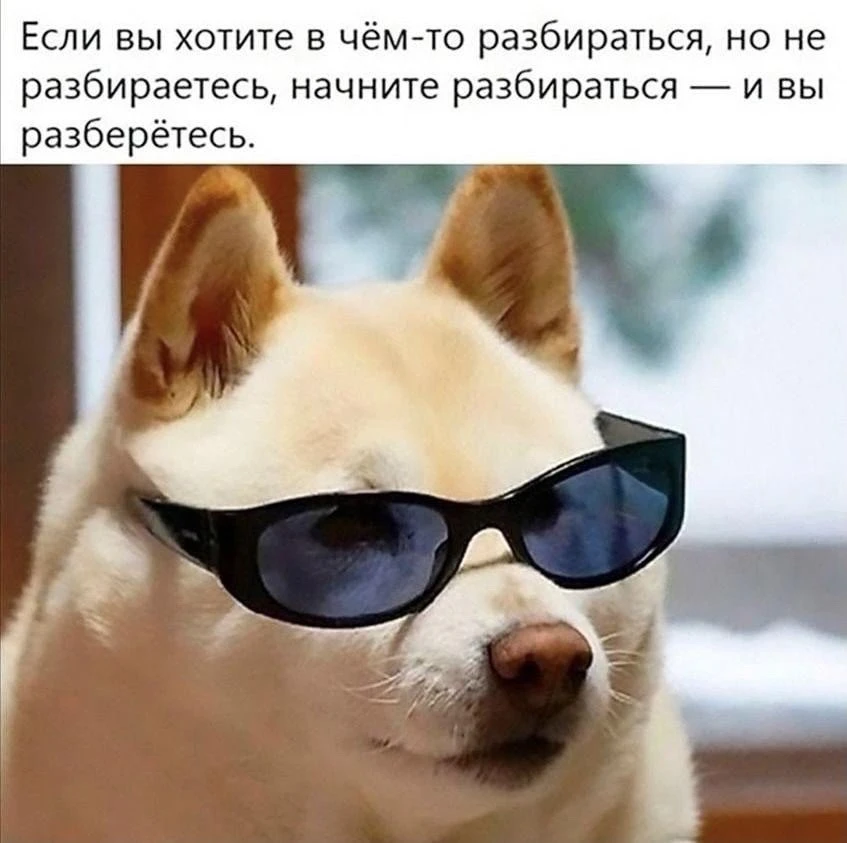За 3500 ₽ тут подозрительно много всего....