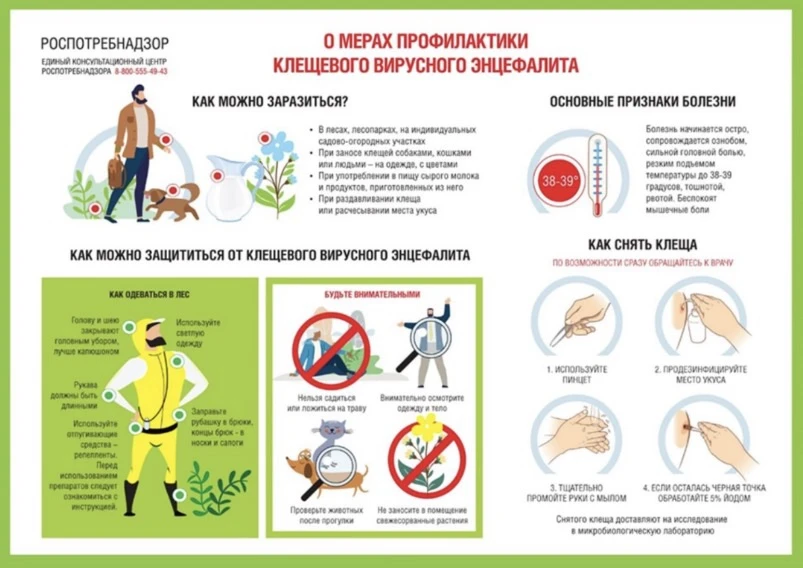 Меры профилактики клещевого вирусного энцефалита
Клещевой вирусный энцефалит (КВЭ) - острое инфекцио