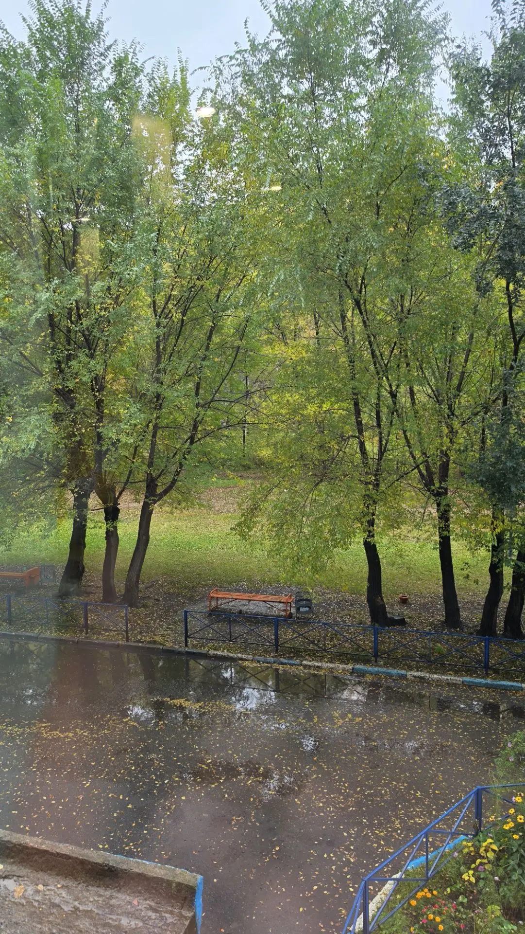 Добрый день, за окном настоящая осень 🍂.