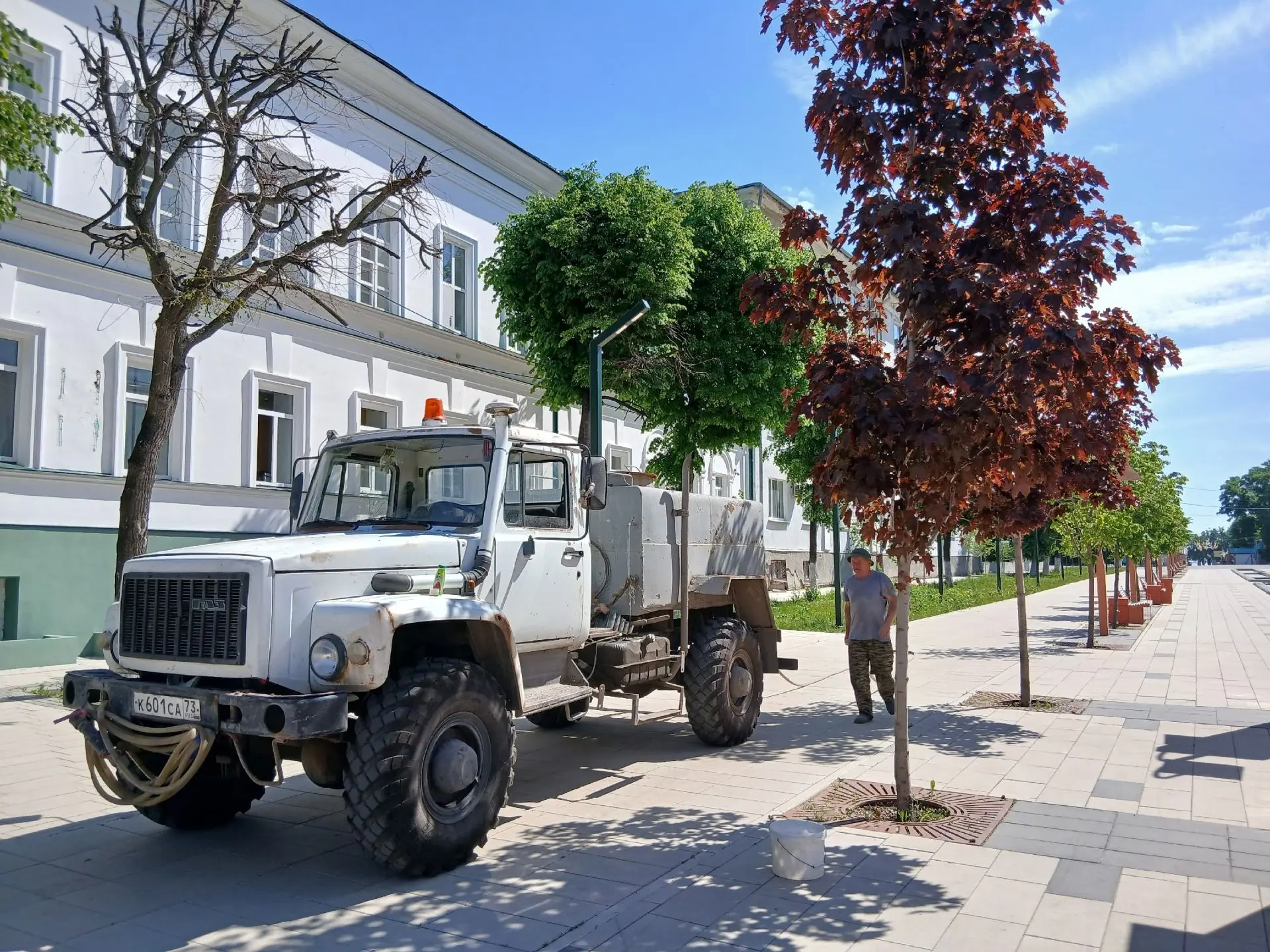Заботимся о красных кленах

Сегодня специалисты Городского центра полили молодые деревья в Театральн