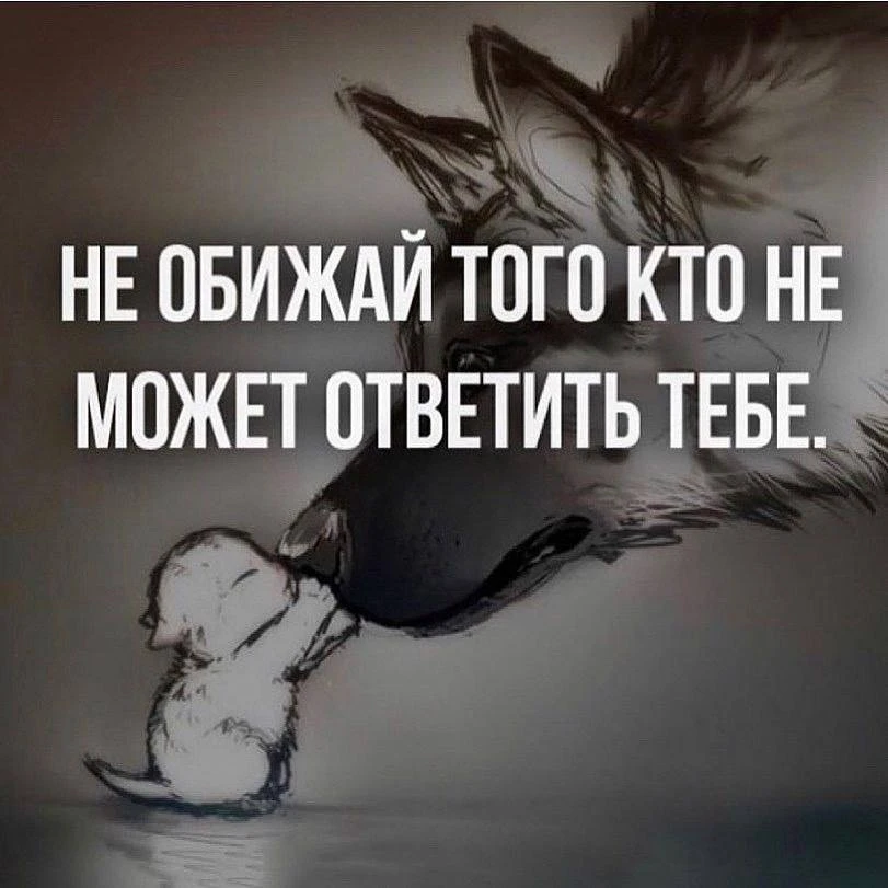 Цитаты жизни
