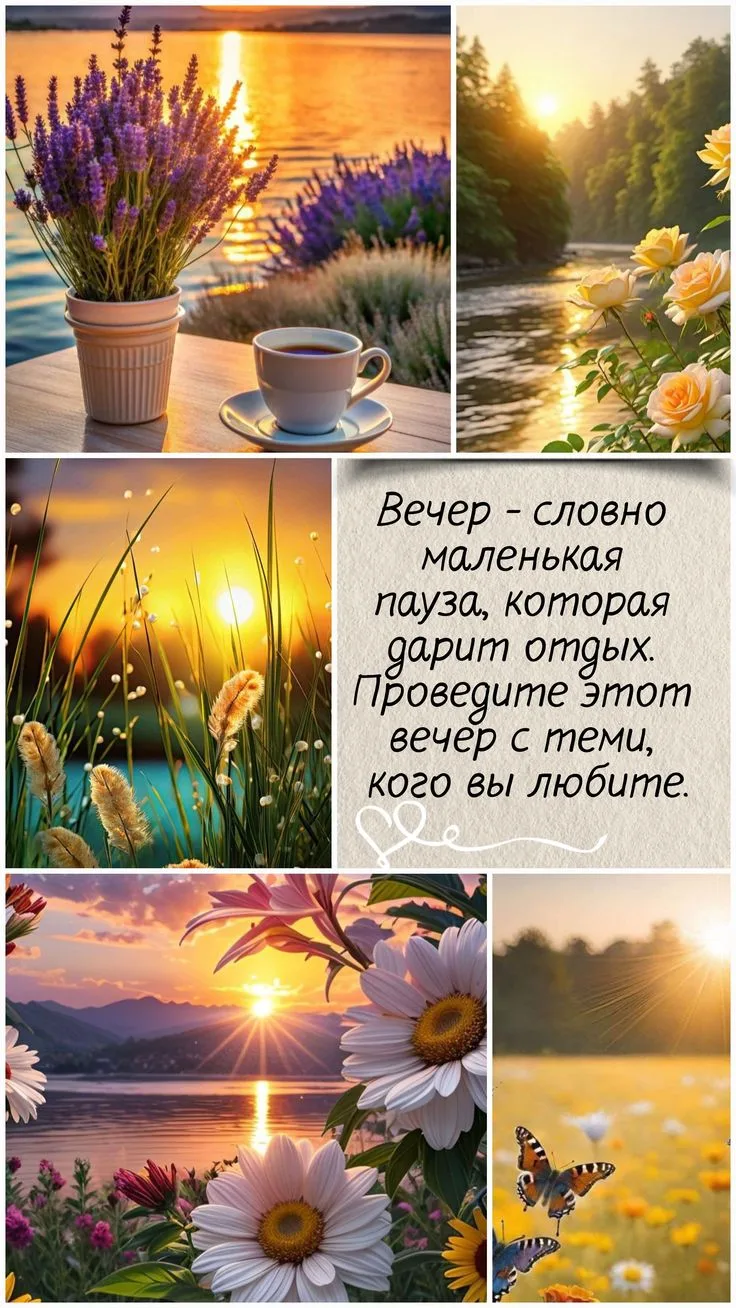 🌹Радость в Каждом Дне

🕊️Спасибо за реакции♥️