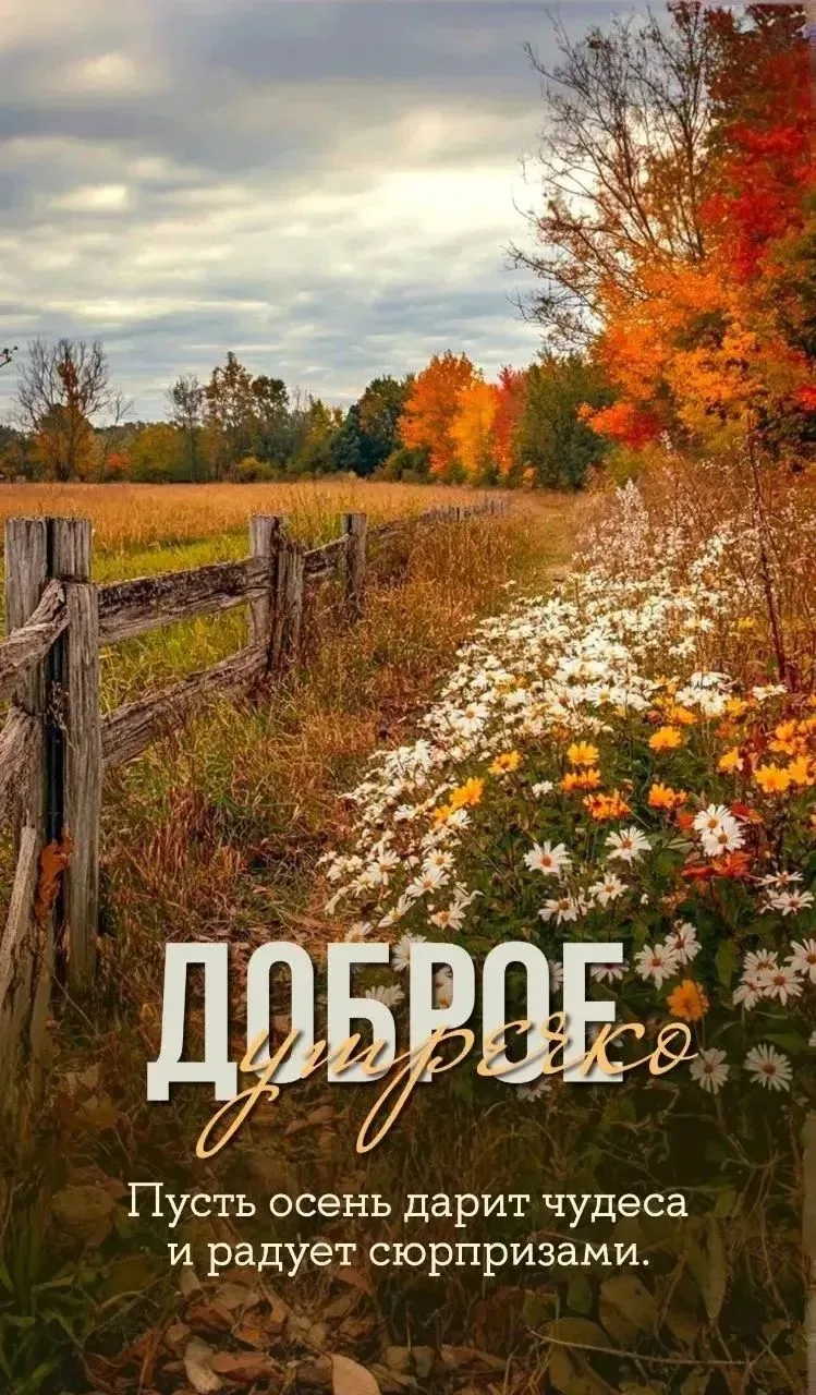 Доброе утро!