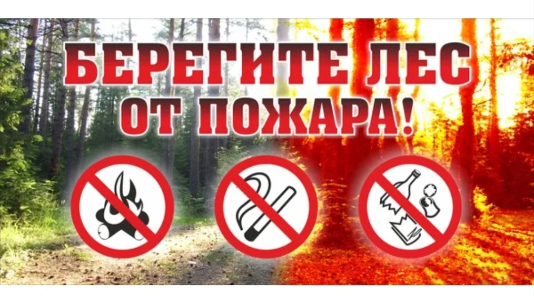 Берегите лес от пожара!