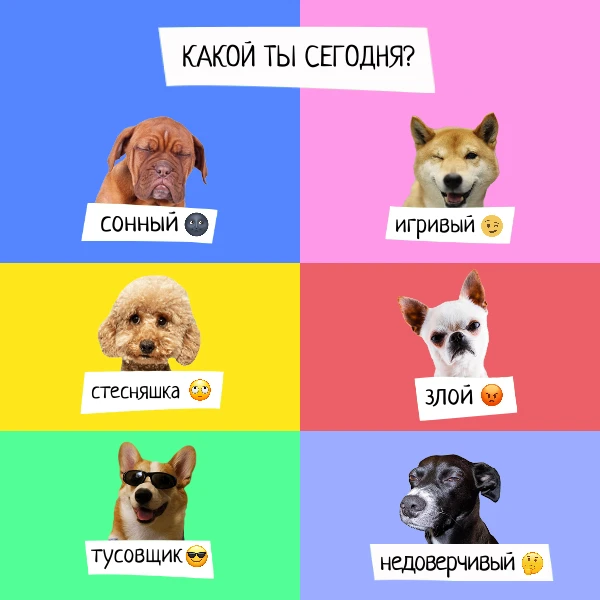 🐶 КАКОЙ ТЫ СЕГОДНЯ? 🐶
Знакомо? Утром одно настроение, к вечеру — другое.

Выбирай своего пушистика