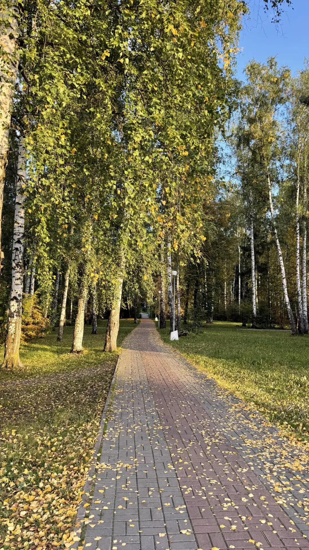 Какой чудесный осенний день сегодня! 🍂