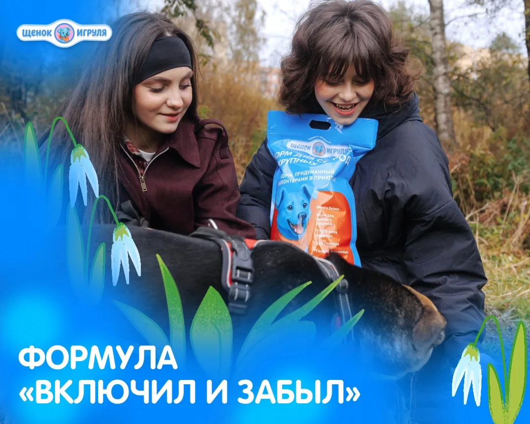 Формула «включил и забыл» 🐕