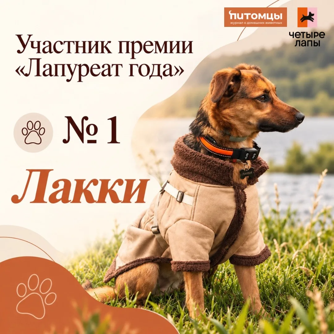 😍А что это у нас тут за модник? Это же первый участник нашей премии «Лапуреат года»